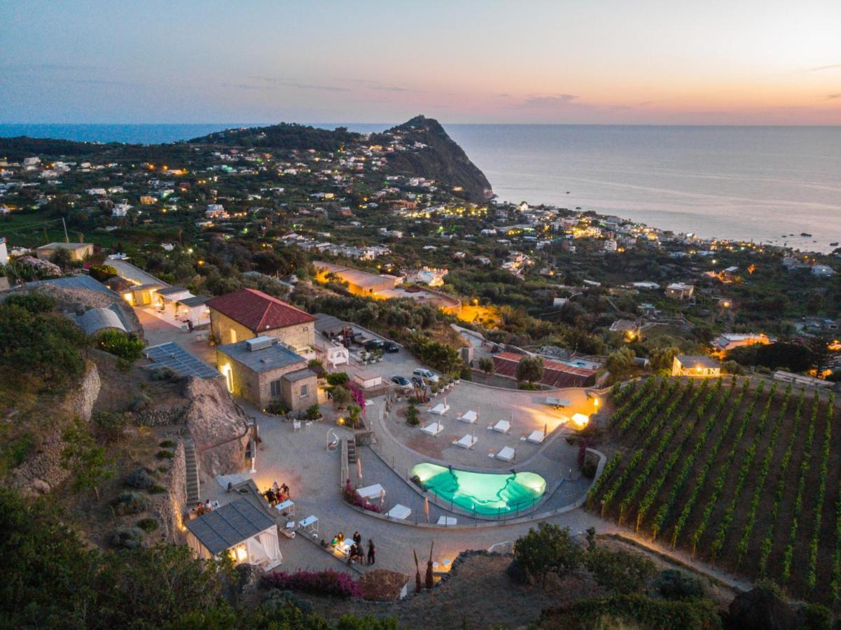 Tenuta C'Est La Vie Forio (Isola d'Ischia) Exterior foto