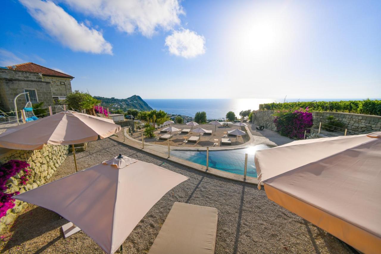 Tenuta C'Est La Vie Forio (Isola d'Ischia) Exterior foto