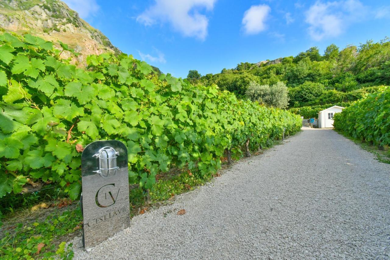 Tenuta C'Est La Vie Forio (Isola d'Ischia) Exterior foto