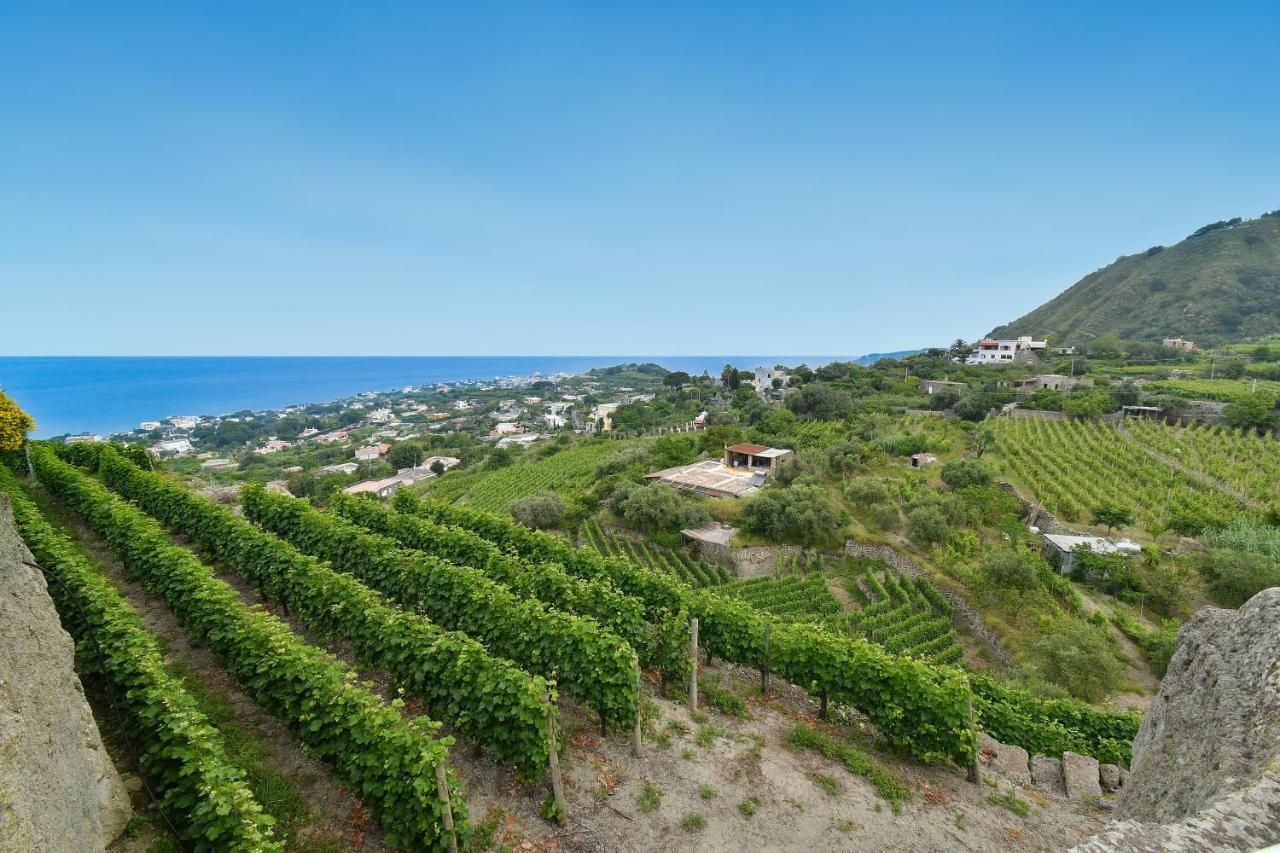Tenuta C'Est La Vie Forio (Isola d'Ischia) Exterior foto