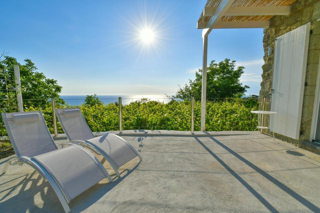 Tenuta C'Est La Vie Forio (Isola d'Ischia) Exterior foto