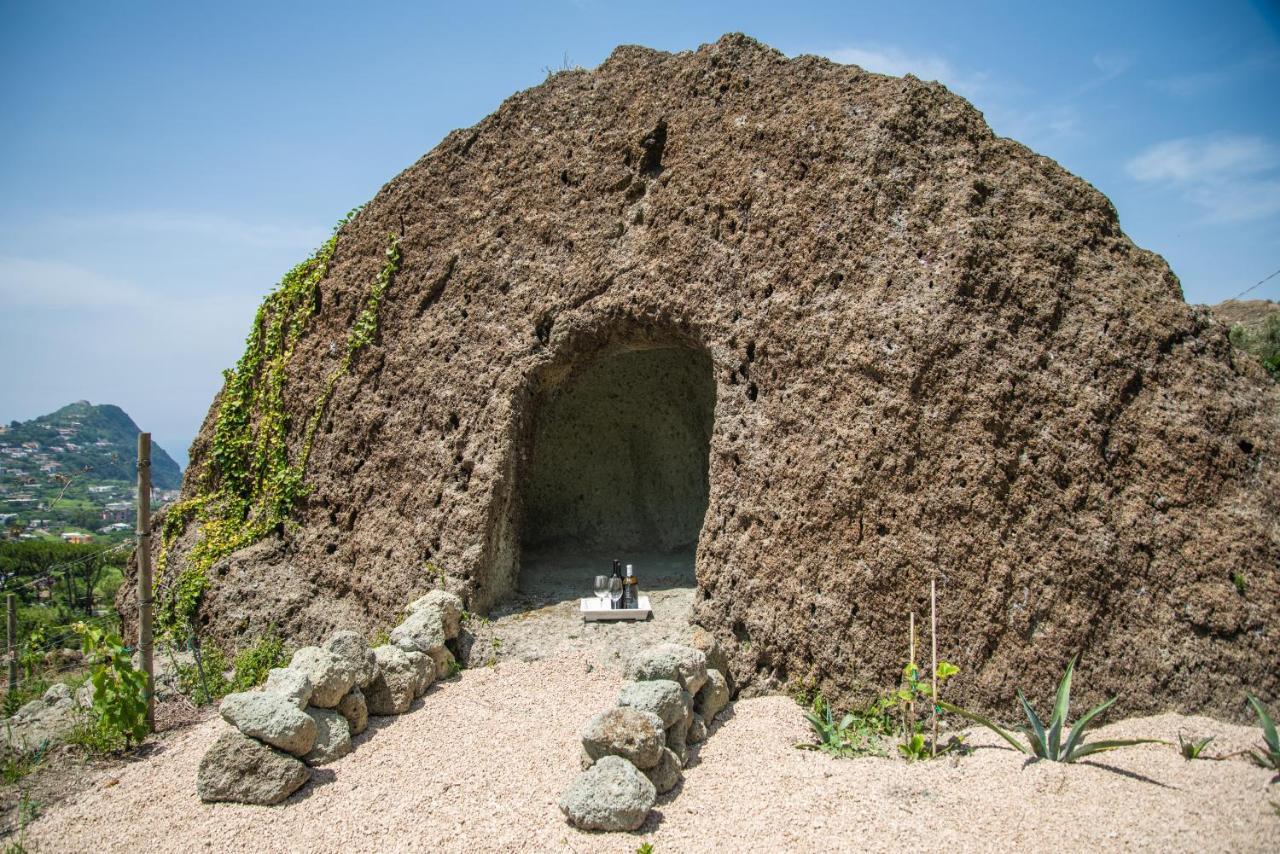 Tenuta C'Est La Vie Forio (Isola d'Ischia) Exterior foto